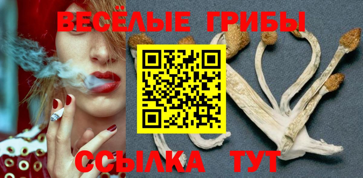 Псилоцибиновые грибы MAGIC MUSHROOMS Керчь